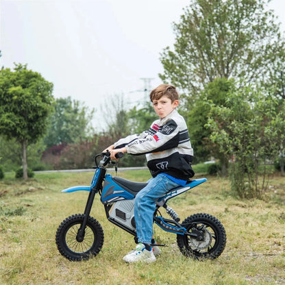 36V Freddo Electric Dirt Bike with Brushless Motor  Freddo Toys